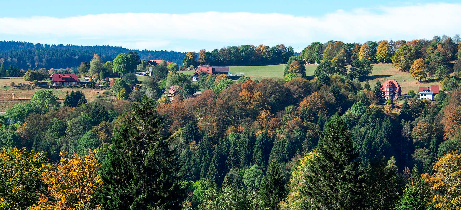 Dachsberg